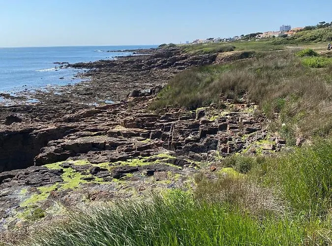 דירה 4 Personnes Vue Sur